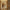 Mango 20 x 28 Inch Arched LED Bathroom Mirror with Anti-Fog and Dimmable Light