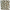 LAKESHORE PURE GLASS Strips Backsplashes Wall tiles (12x12 inch) JL142BT
